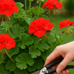 How to Detect Negative Energy in Your Home Using Salt, Water, and Vinegar