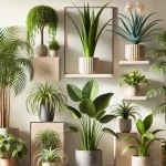 Bay Leaves and Salt: A Mix Worth Gold! My Grandma Taught Me How to Use It