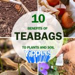 Neat Hack: Effortless Lawn Mower Blade Sharpening