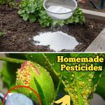 Most folks do this wrong. Here’s the perfect way to build a cucumber trellis