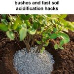 DIY GREENHOUSE – From old windows! So beautiful!