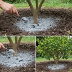 Trick to Repair “Peeled” Leather or Eco-Leather Objects and Make Them as Good as New