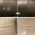 Just 1 Spoon Makes the Lemon Tree Overflow with Fruit (Lemons All Year Round)