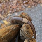 12 top baking soda hacks most don’t know