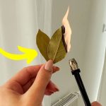 The Ultimate Guide to Growing Potatoes at Home in Containers