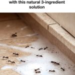 Brilliant! Wish I read this sooner!