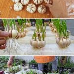 A Collection Of 10 Raised Garden Beds That Will Blow Your Mind