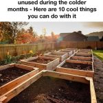 Grow Carrots in Containers with One Single Carrot – Here’s How!