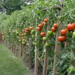 What an amazing list!