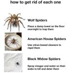 Brilliant Ways to Reuse Empty Pill Bottles: How One Lady Found Creative Solutions for Repurposing