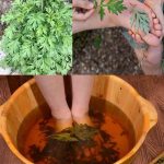 Never Throw Away Banana Peels! Put Them in Water & Use This Amazing Trick!