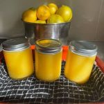 Discover the Healing Power of Plantain