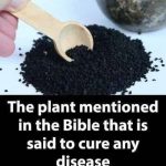 7 Annoying Things Customers Do at Restaurants That Servers Really Hate