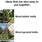 Grow Cucumbers in a Herringbone Pattern – The Secret to Bigger Yields!