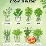 These Common Plants Can Be Seriously Irritating to Your Skin – Most People Don’t Know About This