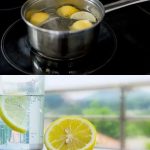 8 Beautiful Shade-loving Flowers