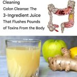 These Plants Are Oxygen Bombs & They Can Clean The Air In Your Home