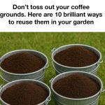 Don’t Underestimate Small Teabags. Here’re Why You Should Plant Them