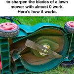 Don’t Underestimate Small Teabags. Here’re Why You Should Plant Them