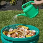 The Surefire Trick to Making Geraniums Bloom Profusely: Turn Them Into a Flower Factory 🌺🌿