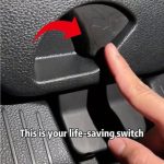 Once You Learn This, You Will Never Throw Avocado Pit Away