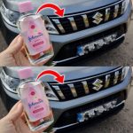 If You Find a Penny in Your Car Door Handle!