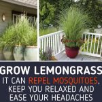 The Way You Sleep Reveals How Lazy You Are