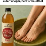 Grow Super Sweet Watermelons in Pallets with This Easy Method