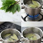 No Pests Left on Your Plants (Ants, Aphids, Mealybugs, and All Other Pests)