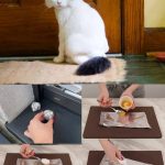 Why Should Garlic Be Placed at the Head of the Bed When Sleeping at Night?