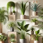 15 Top Plants That Keep Pests Away: A Natural Solution for Your Garden