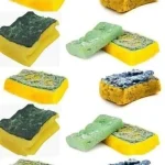 Topping Onions and Other Tricks for Bigger Bulbs