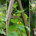 Building a Habitat Tripod to Feed and Shelter Small Birds in Your Garden: A Step-by-Step Guide