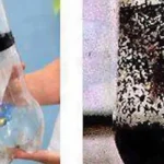 Put an avocado on the stove and the result will leave you absolutely spellbound