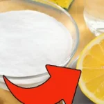 Here’s Why There Are Ridges on the Bottom of Your Freezer