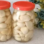 Top Companion Planting Pairs For a Thriving Garden