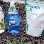 If You Find a Penny in Your Car Door Handle!