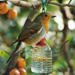 15 Must-Know Things For Snake Plant Owners