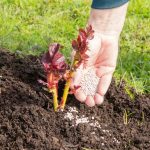 How to Detect Negative Energy in Your Home Using Salt, Water, and Vinegar