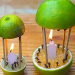 What Are the Differences Between Yellow Chicken and White Chicken?