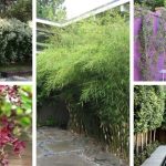 Why You Keep Waking Up at 3 or 4 AM: The Hidden Meanings Behind Early Morning Awakenings