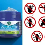 April Planting Guide by USDA Zone – What to Grow Now!