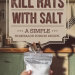 Baking soda is a gardener’s best friend