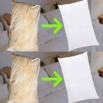 Wild Lettuce Sap – The Herbal Pain Reliever You Need to Know About