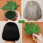 When and How to Prune Hydrangeas? The Plant Will Explode with Flowers!