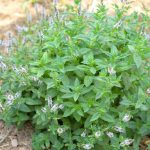 The Way You Carry Your Bag Reveals Your True Personality