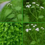 The Way You Clench Your Fists Tells You Who You Are — Here’s What It Means