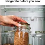 Why People Aren’t Using Top Sheets On Beds Anymore