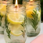 Never plant tomatoes, peppers and cucumbers without this: always give it to the plants