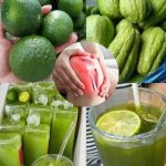 Mango Leaf Tea – A Natural Boost for Your Body and Mind